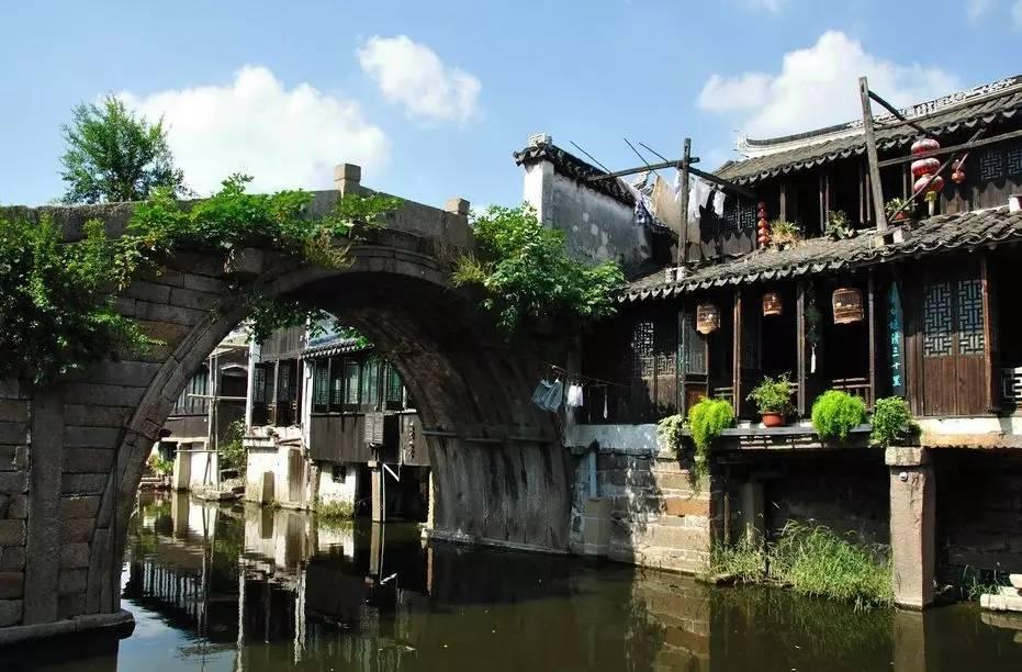 逃离仿真森林